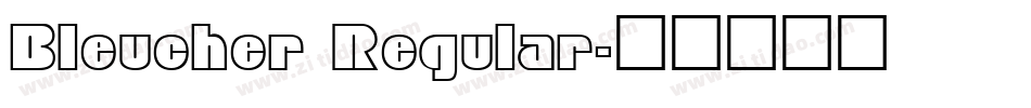 Bleucher Regular字体转换
